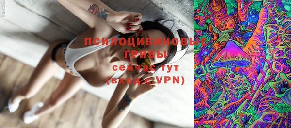 MDMA Premium VHQ Краснослободск