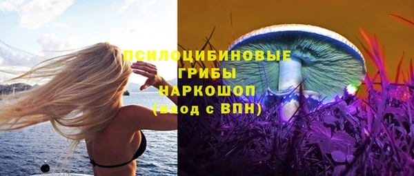MDMA Premium VHQ Краснослободск