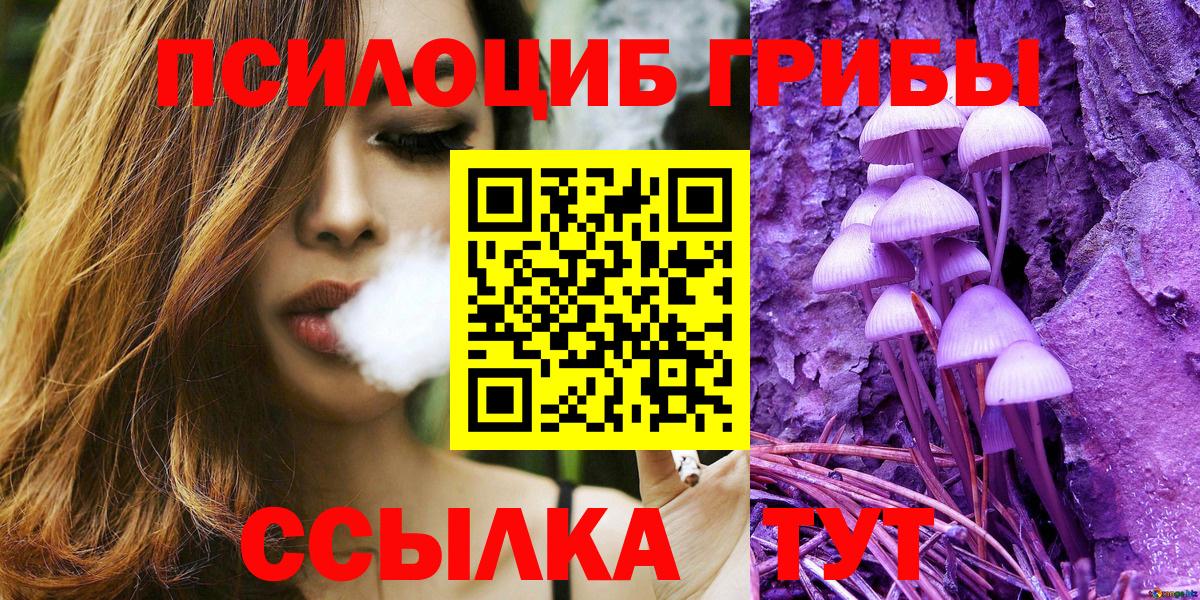 Псилоцибиновые грибы Magic Shrooms  Вход с VPN  наркотики  Нефтекумск 