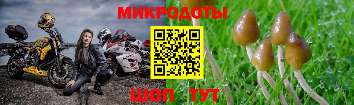 Псилоцибиновые грибы мицелий  Нефтекумск 