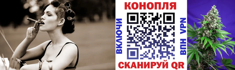 Конопля индика  Нефтекумск 